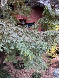 97B3100D-47BA-4CB2-A0F1-9457A4834904.jpeg