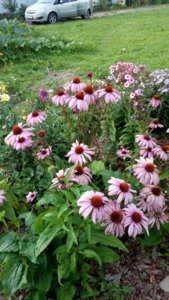 DSC_1059.jpg
