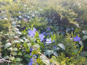 20170520_093551.jpg