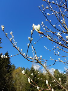 20170509_100952.jpg