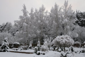 IMG_7078.JPG