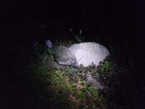20170508_232901.jpg