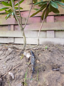 20170508_104634.jpg
