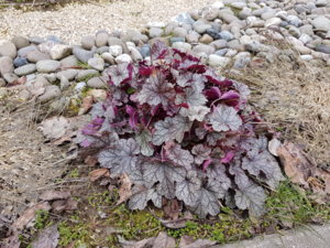 20170317_145311.jpg