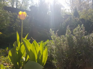 20170520_091518.jpg