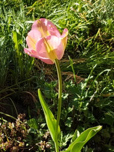 20170523_190122.jpg