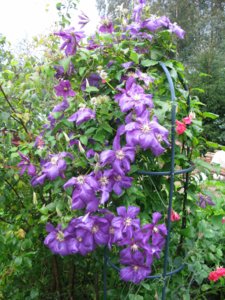 IMG_1683.JPG