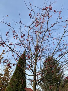 3400EAB1-35C2-41ED-838A-741E7ED2B3A8.jpeg