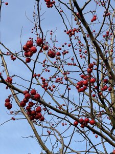 6174A65C-F938-4A6C-B850-315EC9E12951.jpeg
