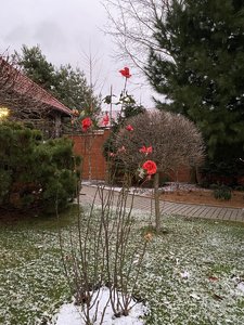 DC119335-7D03-42B3-B430-885810FDADDA.jpeg