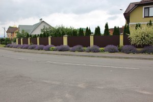 IMG_8204.JPG