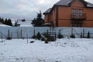 IMG_7349.JPG