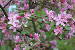 IMG_8789.JPG