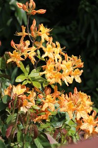 IMG_8976.JPG