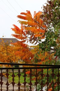 IMG_4557.JPG