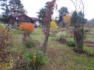 DSCN7683.JPG