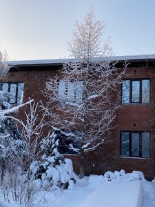 217910E8-74D4-4FFF-905D-73F1F883F0F7.jpeg