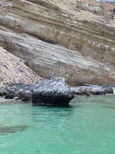 27EFCCC3-D704-4FAA-BCF6-D984DA2B5C46.jpeg