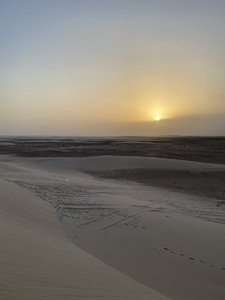 E130F49D-68B5-4B30-BEB2-6E7D51366722.jpeg