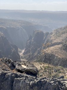 C9E65274-8867-4100-8C99-AF7B738E4DC3.jpeg