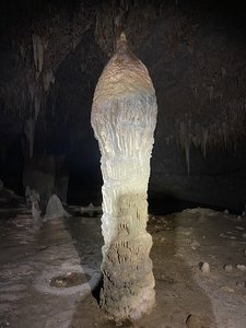 8B32D477-A85F-4E38-B656-2F3905D286AF.jpeg