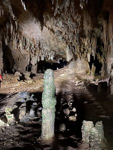 6328D4D9-23C6-47EC-8EF6-9DDB051FAA9D.jpeg