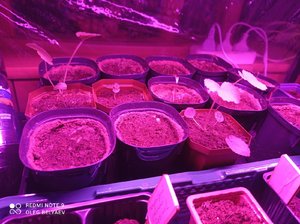 IMG_20220304_204612.jpg