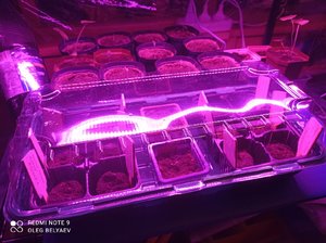 IMG_20220304_204650.jpg