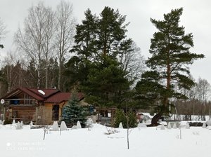 IMG_20220326_135037.jpg