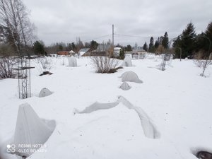 IMG_20220326_134157.jpg