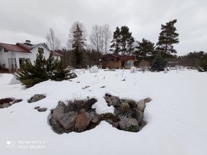 IMG_20220326_135237.jpg