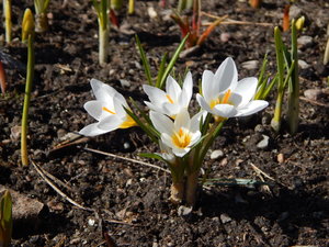 DSCN7912.JPG