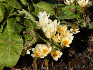 DSCN7924.JPG
