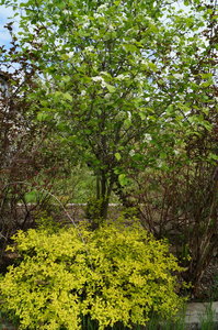 DSC02438.JPG