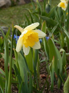 DSCN8147.JPG