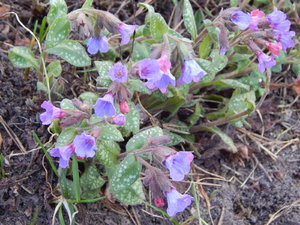 DSCN8102.JPG