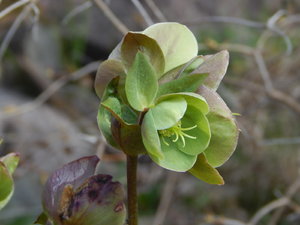 DSCN8136.JPG