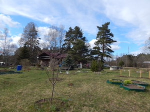 DSCN8171.JPG