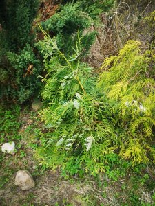 IMG_20220504_164621.jpg
