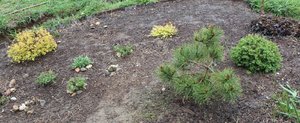 IMG_7889.jpg