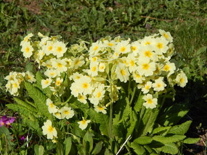 DSCN8186.JPG