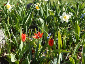 DSCN8199.JPG