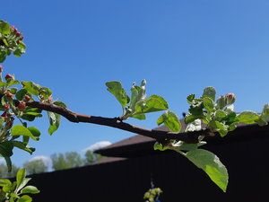 20220521_121801.jpg