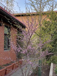 D6572709-8EE0-4F33-B154-7C87A0CDB06E.jpeg