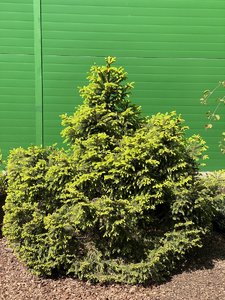 1437187C-D287-4C76-B126-9FE743C04CEA.jpeg