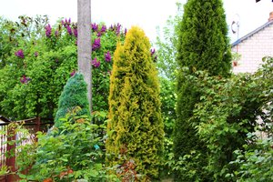 IMG_1432.JPG