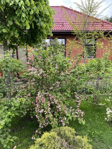 0E3961F2-75D0-4597-BA69-7E2F3953A9D6.jpeg
