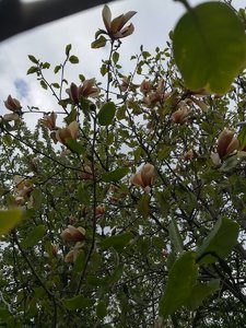 IMG_20220528_082254.jpg