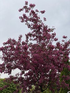 BDF27AD6-AB4D-49C8-9123-465FE5153842.jpeg