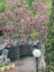 EDF6C6C3-7D21-410B-90B2-2356AD1CF111.jpeg